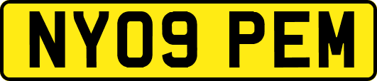 NY09PEM