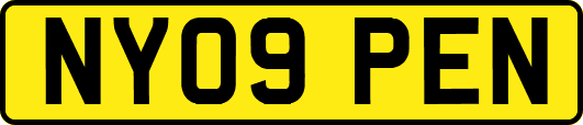 NY09PEN