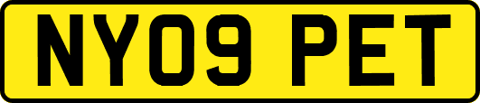 NY09PET