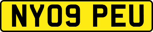 NY09PEU