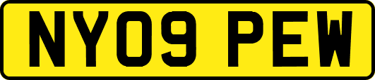 NY09PEW