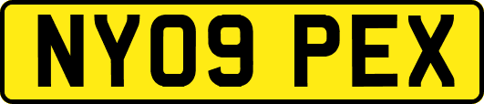 NY09PEX