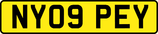 NY09PEY