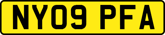 NY09PFA