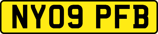 NY09PFB