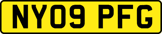 NY09PFG