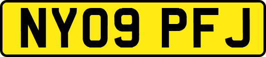 NY09PFJ