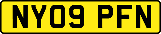 NY09PFN