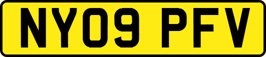 NY09PFV