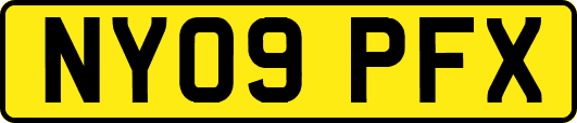 NY09PFX