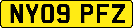 NY09PFZ