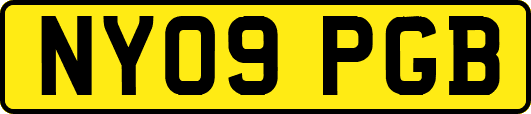 NY09PGB