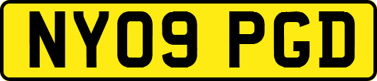 NY09PGD