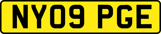 NY09PGE