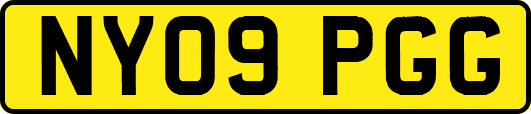 NY09PGG