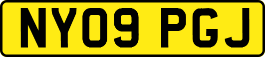NY09PGJ