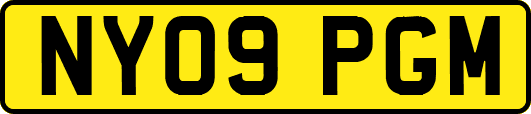 NY09PGM