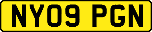 NY09PGN