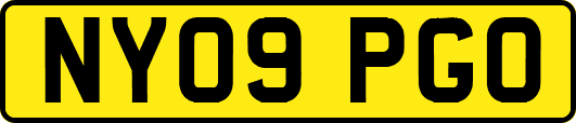 NY09PGO