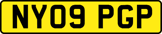 NY09PGP