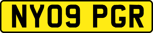 NY09PGR