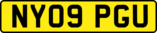 NY09PGU