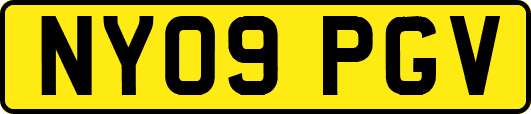 NY09PGV