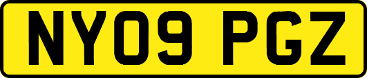 NY09PGZ