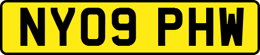 NY09PHW