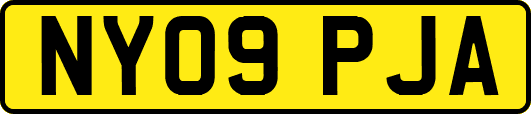 NY09PJA