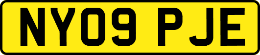 NY09PJE