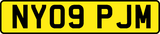 NY09PJM