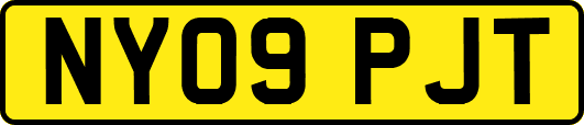 NY09PJT