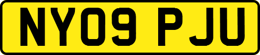 NY09PJU