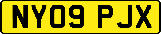 NY09PJX