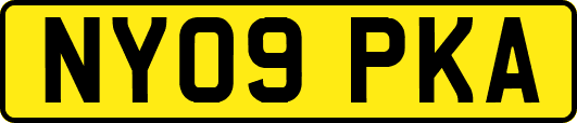 NY09PKA