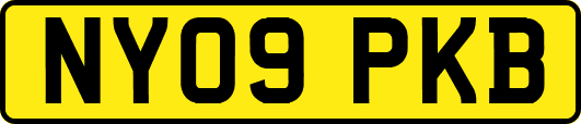 NY09PKB