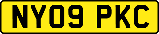 NY09PKC