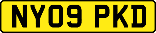 NY09PKD