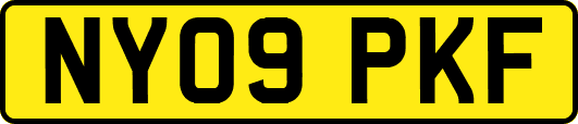NY09PKF