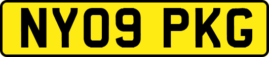 NY09PKG