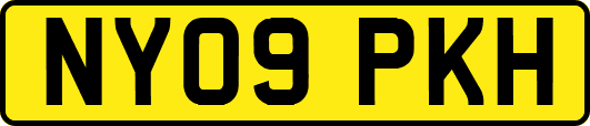 NY09PKH