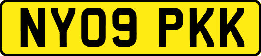 NY09PKK