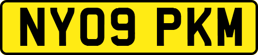 NY09PKM