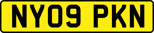 NY09PKN