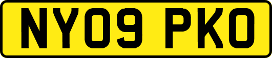 NY09PKO