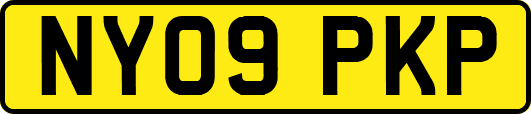 NY09PKP