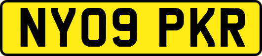 NY09PKR