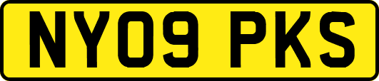 NY09PKS