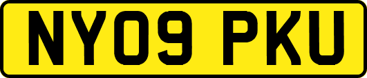 NY09PKU